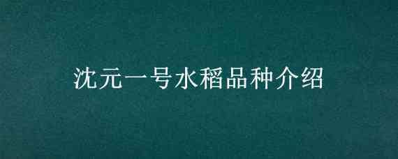 沈元一号水稻品种介绍 沈阳水稻品种