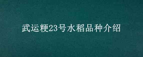 武运粳23号水稻品种介绍（武育粳3号稻种）