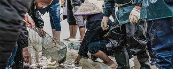 查干湖捕鱼怎么下网的 查干湖鱼捕不完吗