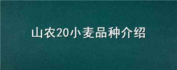 山农20小麦品种介绍 山农30小麦品种简介