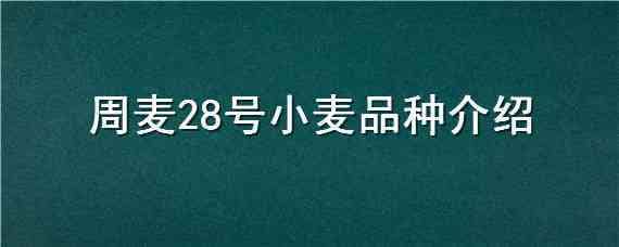 周麦28号小麦品种介绍 小麦新品种周麦40