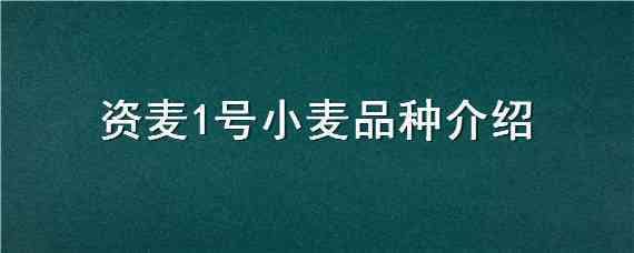 资麦1号小麦品种介绍（商麦1号麦种品种特性）