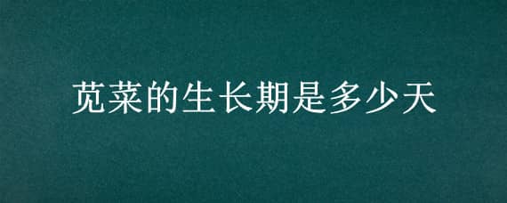 苋菜的生长期是多少天 苋菜的生长周期是多久