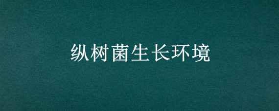 纵树菌生长环境 枞树菌营养及功效