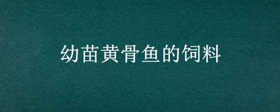 幼苗黄骨鱼的饲料 黄骨鱼幼苗吃什么饲料