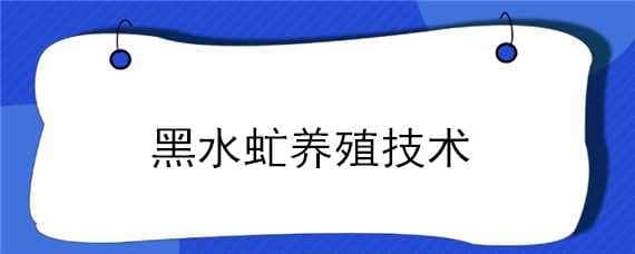 黑水虻养殖技术 黑水虻养殖技术视频