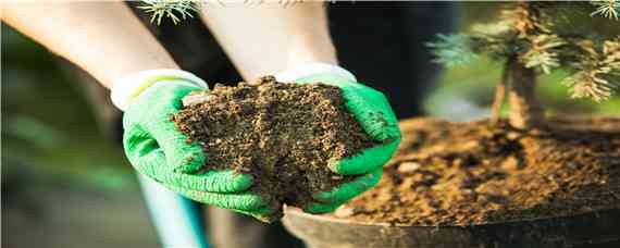 硼肥是什么肥料 硼肥的用途