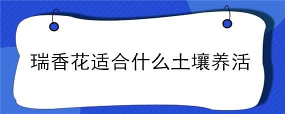 瑞香花适合什么土壤养活 瑞香的养殖用什么土