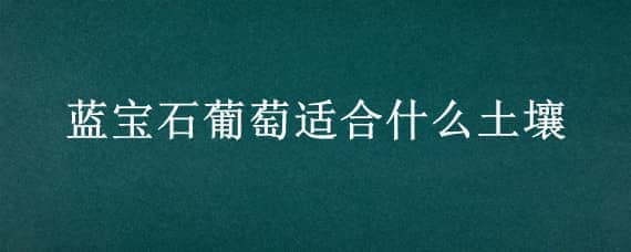 蓝宝石葡萄适合什么土壤 蓝宝石葡萄树适合什么地区种植