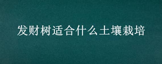 发财树适合什么土壤栽培 发财树适合什么样的土壤养殖