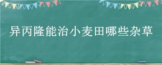 异丙隆能治小麦田哪些杂草 异丙隆能治小麦田哪些杂草炔草脂