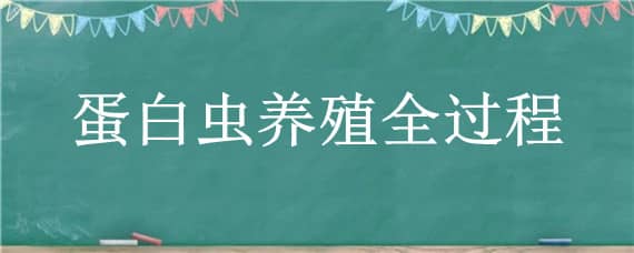 蛋白虫养殖全过程（给大家了解一下蛋白虫怎么养殖）