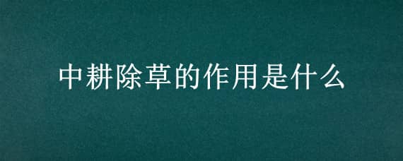 中耕除草的作用是什么（中耕除草的作用是什么意思）