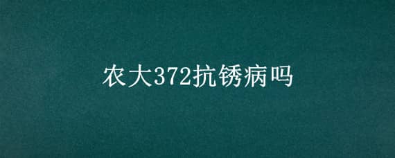 农大372抗锈病吗 农大372锈病爆发