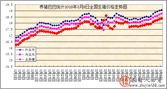 趋势：国内猪市出现火热行情（今天猪市场行情和发展趋势）