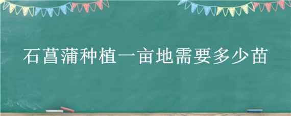 石菖蒲种植一亩地需要多少苗