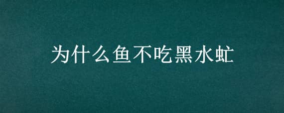 为什么鱼不吃黑水虻 鱼吃黑水虻吗