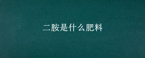 二胺是什么肥料 二胺是什么肥料是化肥吗