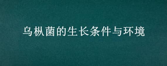 乌枞菌的生长条件与环境（乌枞菌多少度最适合生长）