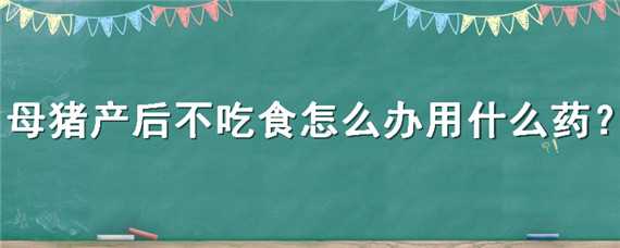 母猪产后不吃食怎么办用什么药