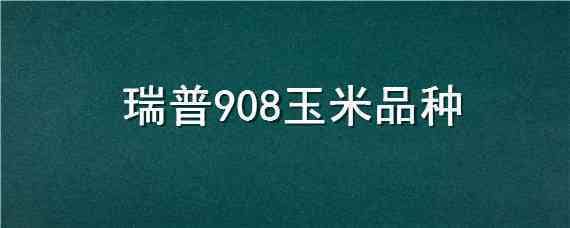 瑞普908玉米品种