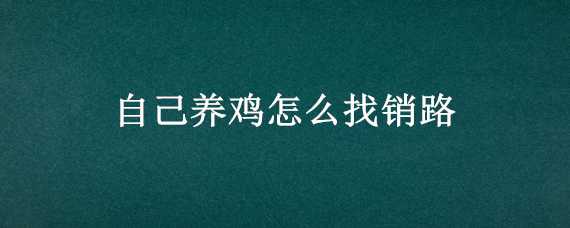 自己养鸡怎么找销路