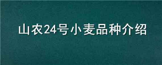 山农24号小麦品种介绍