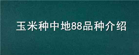 玉米种中地88品种介绍