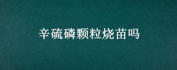 辛硫磷颗粒烧苗吗 辛硫磷拌种子量大了烧吗