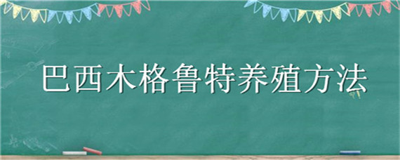 巴西木格鲁特养殖方法 巴西木上面的格鲁特能养活吗