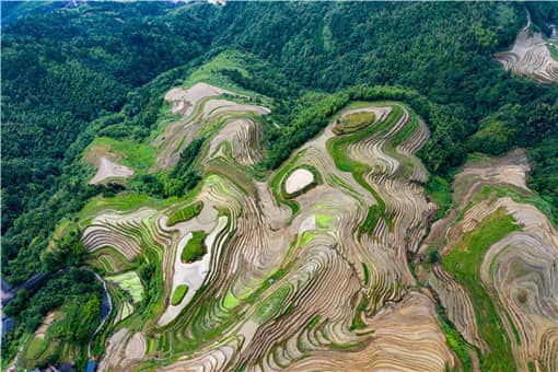 耕地地力保护补贴的申报流程是什么（耕地地力保护补贴是哪个部门落实）