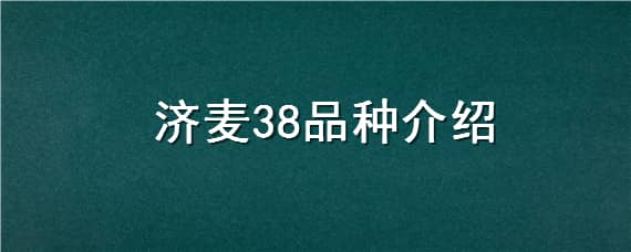 济麦38品种介绍（济麦262品种介绍）