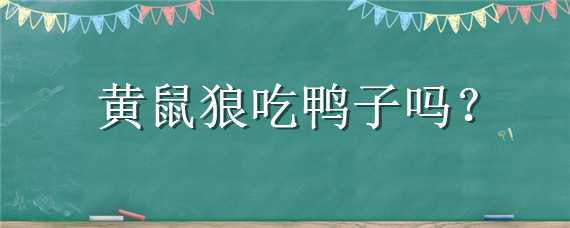 黄鼠狼吃鸭子吗