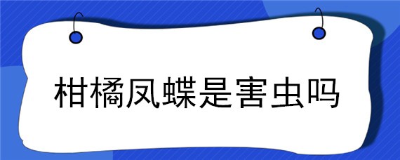 柑橘凤蝶是害虫吗 柑橘树的凤蝶虫的防治