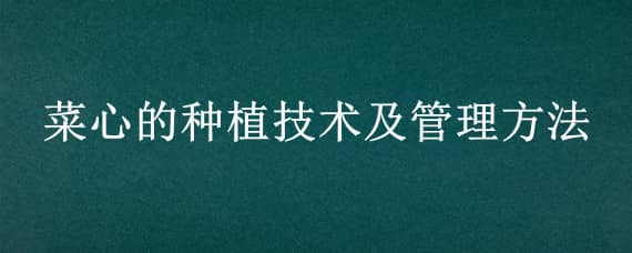 菜心的种植技术及管理方法