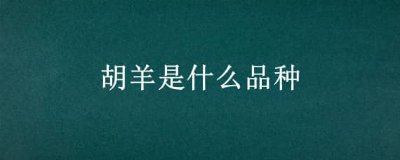 胡羊是什么品种 羊的著名品种的介绍