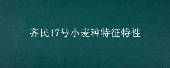 齐民17号小麦种特征特性