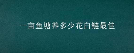 一亩鱼塘养多少花白鲢最佳