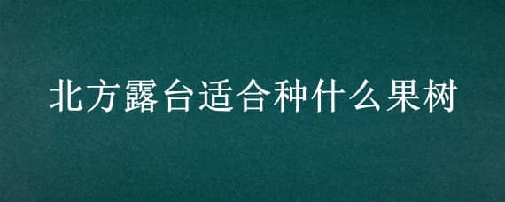 北方露台适合种什么果树