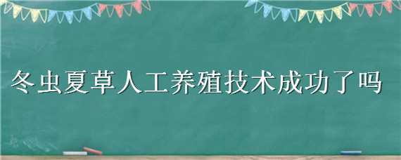 冬虫夏草人工养殖技术成功了吗（冬虫夏草人工养殖技术成功了吗知乎）