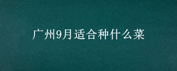 广州9月适合种什么菜 广州现在的季节适合种什么菜