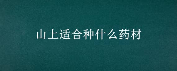 山上适合种什么药材