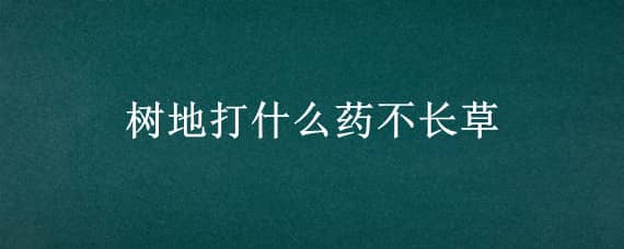 树地打什么药不长草（打什么药地里不长草）