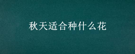 秋天适合种什么花 夏天秋天适合种什么花