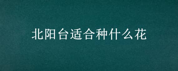 北阳台适合种什么花 北阳台适合种什么花 贴吧