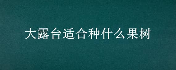 大露台适合种什么果树（露台上适合种什么果树）