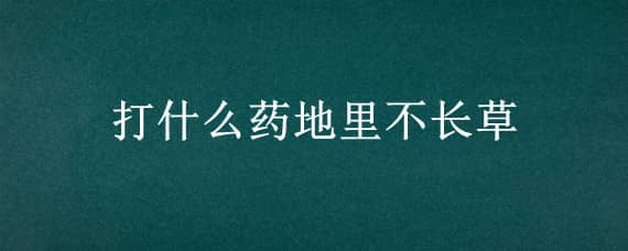 打什么药地里不长草