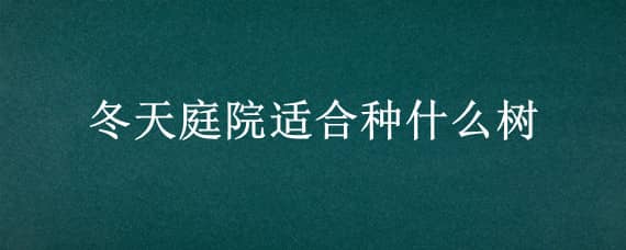 冬天庭院适合种什么树