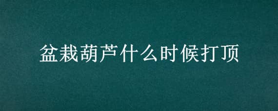 盆栽葫芦什么时候打顶（盆栽葫芦什么时候打顶比较好）