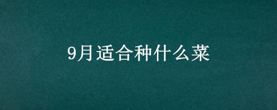 9月适合种什么菜（9月适合种什么菜北方）